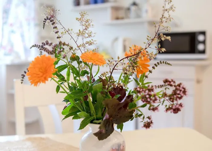 Klaara-manni Center * Tori