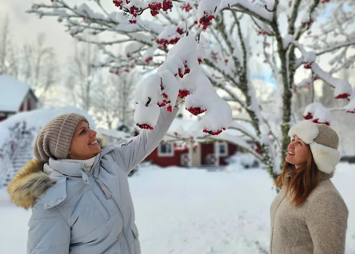 Klaara-manni Center * Tori