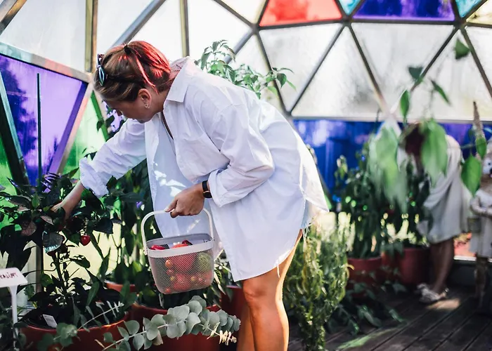 Klaara-manni Center * Tori